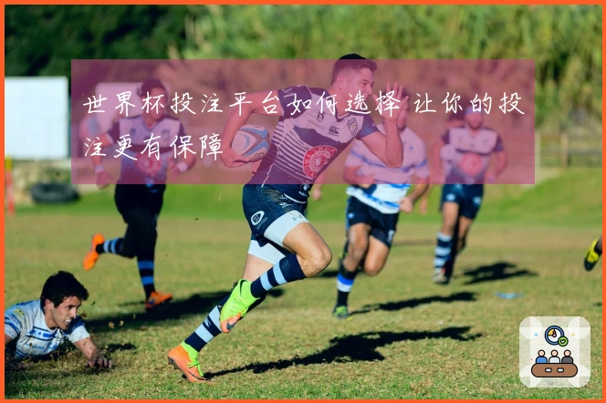世界杯投注平台如何选择 让你的投注更有保障