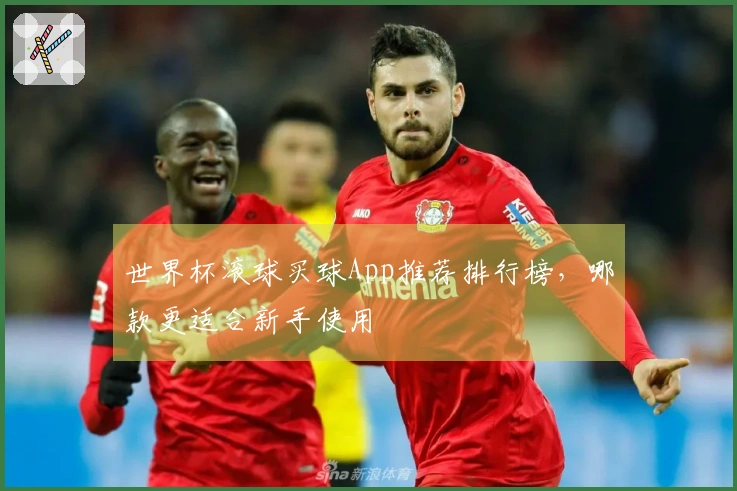 世界杯滚球买球App推荐排行榜，哪款更适合新手使用