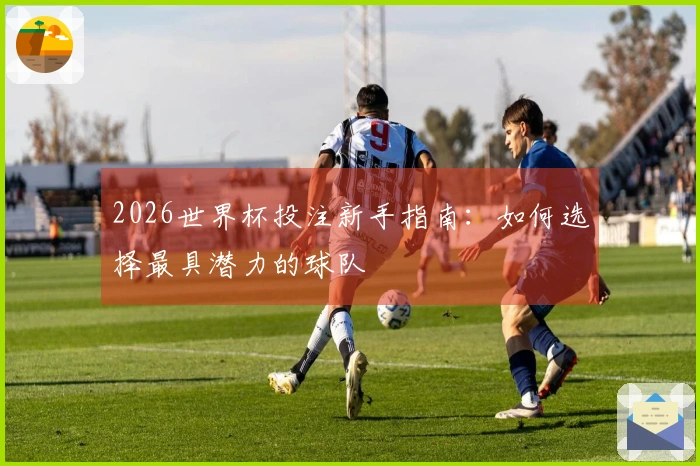 2026世界杯投注新手指南：如何选择最具潜力的球队