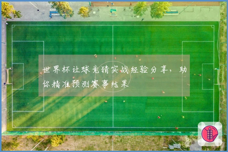 世界杯让球竞猜实战经验分享，助你精准预测赛事结果
