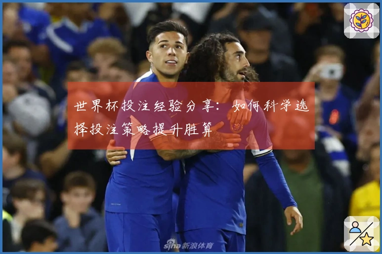 世界杯投注经验分享：如何科学选择投注策略提升胜算
