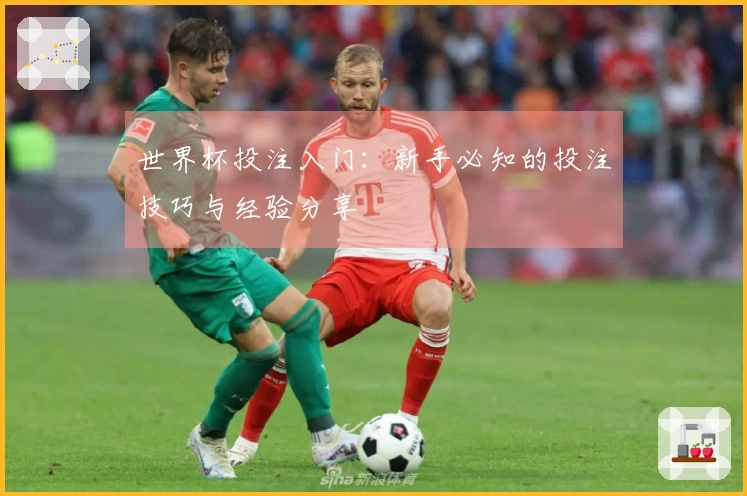 世界杯投注入门：新手必知的投注技巧与经验分享