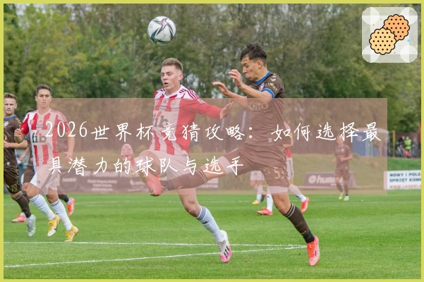 2026世界杯竞猜攻略：如何选择最具潜力的球队与选手