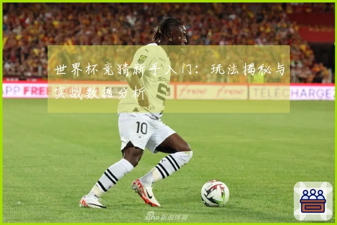 世界杯竞猜新手入门：玩法揭秘与实战数据分析