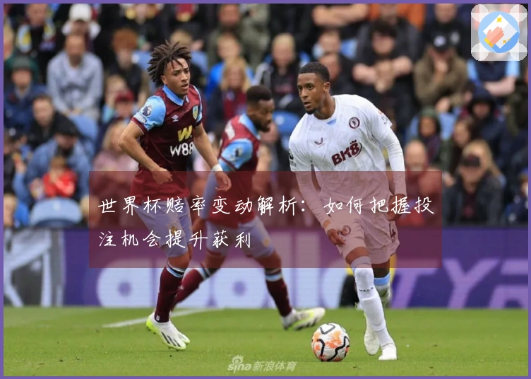 世界杯赔率变动解析：如何把握投注机会提升获利