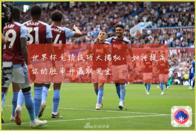 世界杯竞猜技巧大揭秘，如何提高你的胜率并赢取奖金