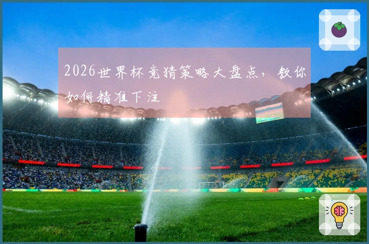 2026世界杯竞猜策略大盘点，教你如何精准下注