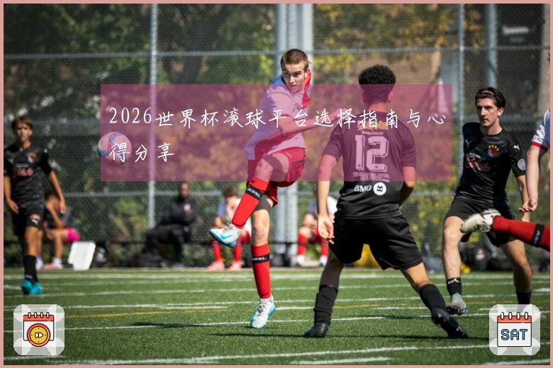 2026世界杯滚球平台选择指南与心得分享