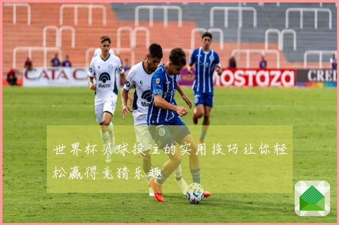 世界杯买球投注的实用技巧让你轻松赢得竞猜乐趣