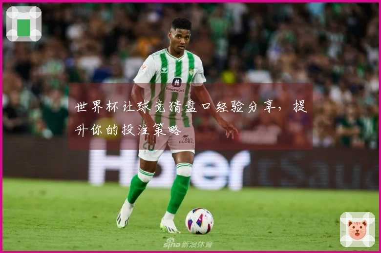 世界杯让球竞猜盘口经验分享，提升你的投注策略