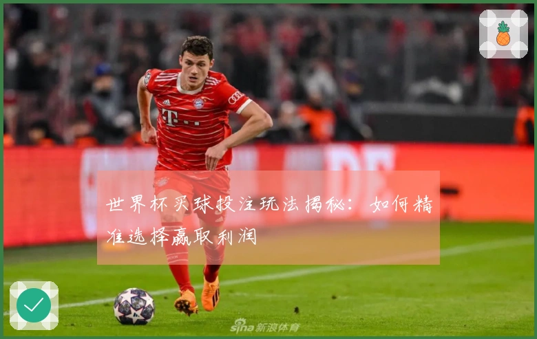 世界杯买球投注玩法揭秘：如何精准选择赢取利润