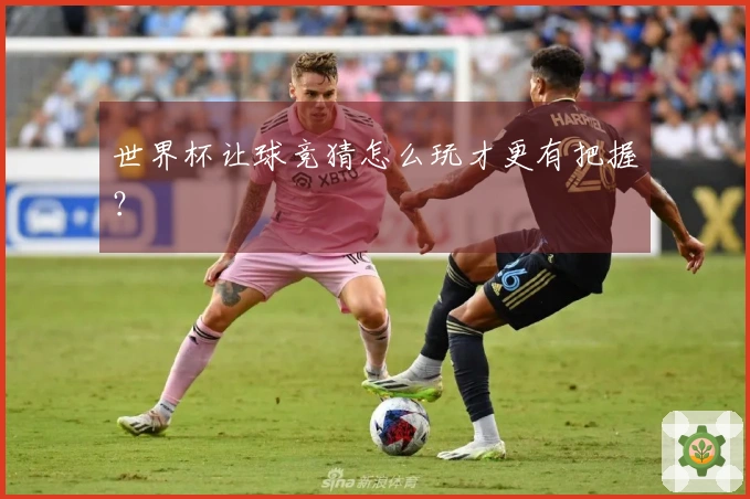 世界杯让球竞猜怎么玩才更有把握？