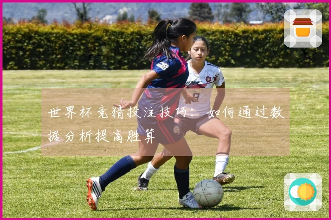 世界杯竞猜投注技巧：如何通过数据分析提高胜算